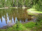 Summer '06 Sunriver 509 